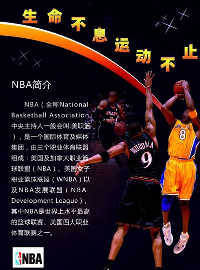阵容的经验