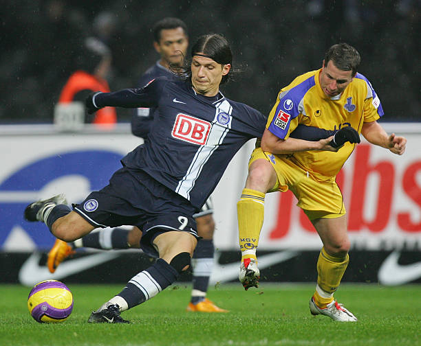 它们也证明 它们也证明